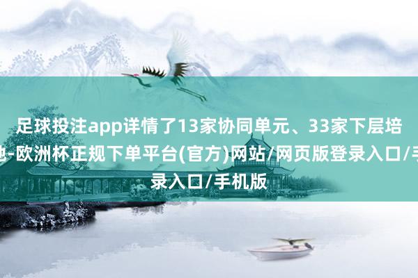 足球投注app详情了13家协同单元、33家下层培养基地-欧洲杯正规下单平台(官方)网站/网页版登录入口/手机版