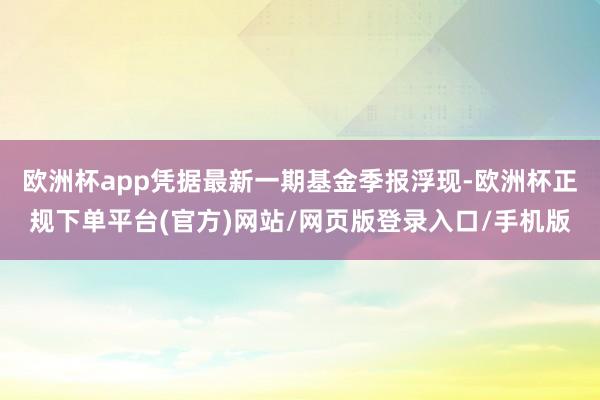 欧洲杯app凭据最新一期基金季报浮现-欧洲杯正规下单平台(官方)网站/网页版登录入口/手机版