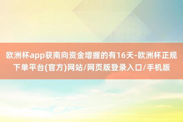 欧洲杯app获南向资金增握的有16天-欧洲杯正规下单平台(官方)网站/网页版登录入口/手机版