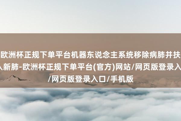 欧洲杯正规下单平台机器东说念主系统移除病肺并扶植医师植入新肺-欧洲杯正规下单平台(官方)网站/网页版登录入口/手机版