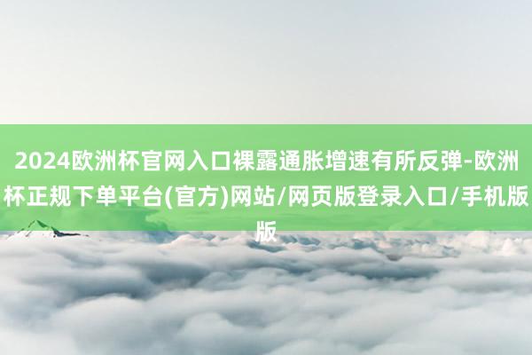 2024欧洲杯官网入口裸露通胀增速有所反弹-欧洲杯正规下单平台(官方)网站/网页版登录入口/手机版