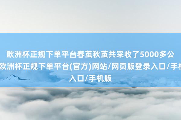 欧洲杯正规下单平台春茧秋茧共采收了5000多公斤-欧洲杯正规下单平台(官方)网站/网页版登录入口/手机版