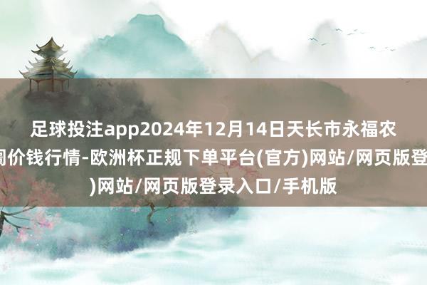 足球投注app2024年12月14日天长市永福农副产物批发阛阓价钱行情-欧洲杯正规下单平台(官方)网站/网页版登录入口/手机版