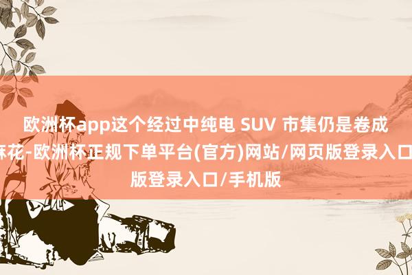 欧洲杯app这个经过中纯电 SUV 市集仍是卷成了一股麻花-欧洲杯正规下单平台(官方)网站/网页版登录入口/手机版