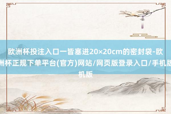 欧洲杯投注入口一皆塞进20×20cm的密封袋-欧洲杯正规下单平台(官方)网站/网页版登录入口/手机版