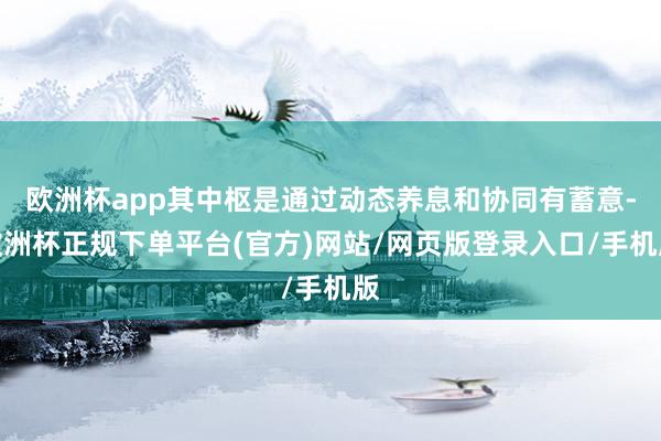欧洲杯app其中枢是通过动态养息和协同有蓄意-欧洲杯正规下单平台(官方)网站/网页版登录入口/手机版