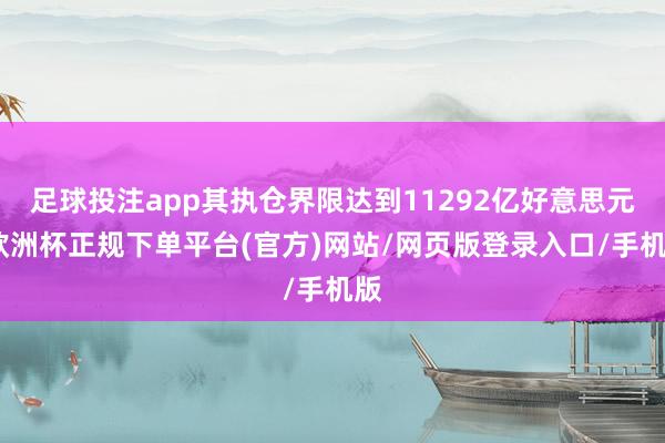 足球投注app其执仓界限达到11292亿好意思元-欧洲杯正规下单平台(官方)网站/网页版登录入口/手机版