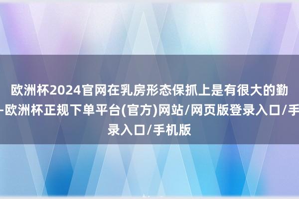 欧洲杯2024官网在乳房形态保抓上是有很大的勤快的-欧洲杯正规下单平台(官方)网站/网页版登录入口/手机版