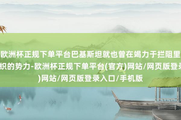 欧洲杯正规下单平台巴基斯坦就也曾在竭力于拦阻里面各类恐怖组织的势力-欧洲杯正规下单平台(官方)网站/网页版登录入口/手机版