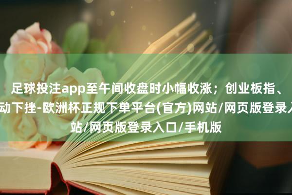 足球投注app至午间收盘时小幅收涨；创业板指、深成指则颤动下挫-欧洲杯正规下单平台(官方)网站/网页版登录入口/手机版