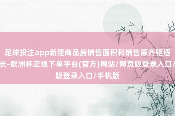 足球投注app新建商品房销售面积和销售额齐驱逐了正增长-欧洲杯正规下单平台(官方)网站/网页版登录入口/手机版