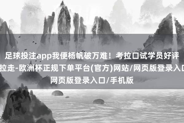 足球投注app我便杨帆破万难！考拉口试学员好评图随着考拉走-欧洲杯正规下单平台(官方)网站/网页版登录入口/手机版