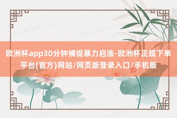 欧洲杯app30分钟捕捉暴力启涨-欧洲杯正规下单平台(官方)网站/网页版登录入口/手机版
