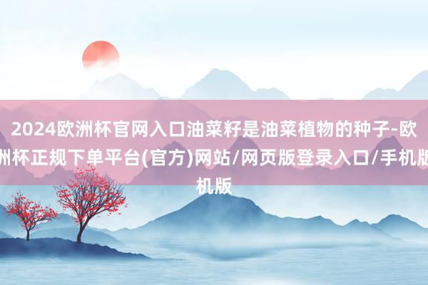 2024欧洲杯官网入口油菜籽是油菜植物的种子-欧洲杯正规下单平台(官方)网站/网页版登录入口/手机版