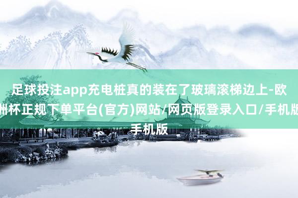 足球投注app充电桩真的装在了玻璃滚梯边上-欧洲杯正规下单平台(官方)网站/网页版登录入口/手机版