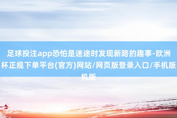 足球投注app恐怕是迷途时发现新路的趣事-欧洲杯正规下单平台(官方)网站/网页版登录入口/手机版