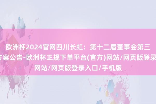 欧洲杯2024官网四川长虹：第十二届董事会第三十二次会议方案公告-欧洲杯正规下单平台(官方)网站/网页版登录入口/手机版