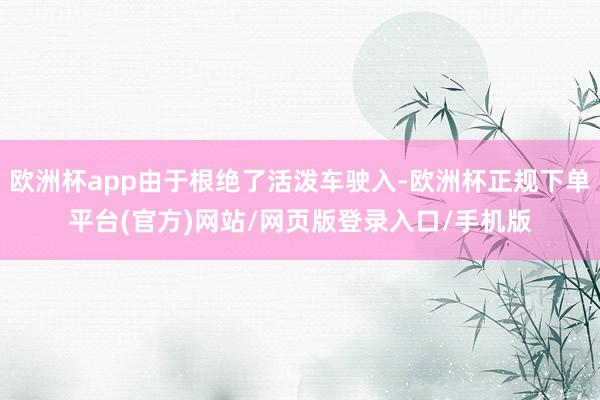 欧洲杯app由于根绝了活泼车驶入-欧洲杯正规下单平台(官方)网站/网页版登录入口/手机版