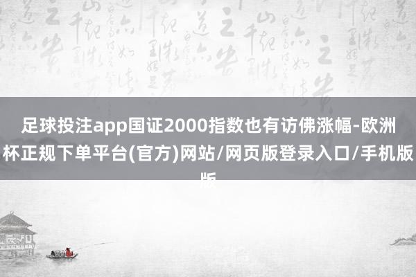 足球投注app国证2000指数也有访佛涨幅-欧洲杯正规下单平台(官方)网站/网页版登录入口/手机版
