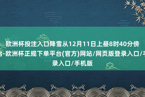 欧洲杯投注入口降雪从12月11日上昼8时40分傍边初始-欧洲杯正规下单平台(官方)网站/网页版登录入口/手机版