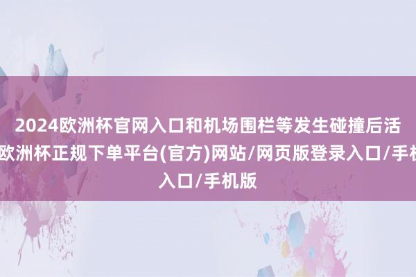 2024欧洲杯官网入口和机场围栏等发生碰撞后活气-欧洲杯正规下单平台(官方)网站/网页版登录入口/手机版