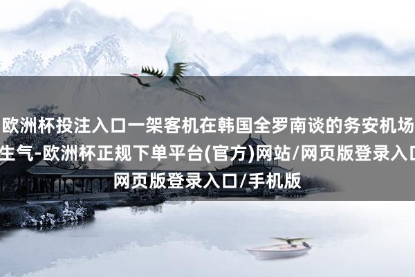 欧洲杯投注入口一架客机在韩国全罗南谈的务安机场发生碰撞生气-欧洲杯正规下单平台(官方)网站/网页版登录入口/手机版